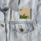 Sperlingsvogelfotografie Button (Beispiel)