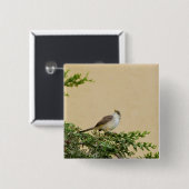 Sperlingsvogelfotografie Button (Vorne & Hinten)