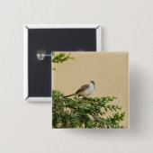 Sperlingsvogelfotografie Button (Vorne & Hinten)