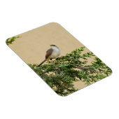 Sperlingsvogelfotografie Magnet (Rechte Seite)