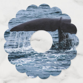 Sperm Whale