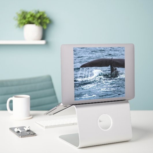 Sperm Whale Aufkleber (Laptop auf Schreibtisch)