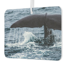 Sperm Whale Autolufterfrischer