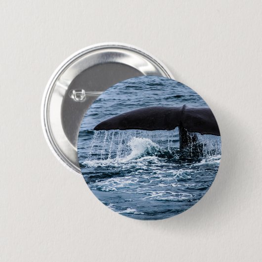 Sperm Whale Button (Vorne & Hinten)
