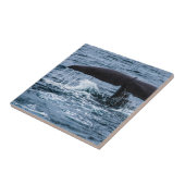 Sperm Whale Fliese (Seite)