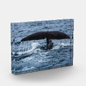 Sperm Whale Fotoblock (Links)