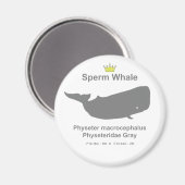 Sperm Whale g5 Magnet (Vorderseite/Rückseite)