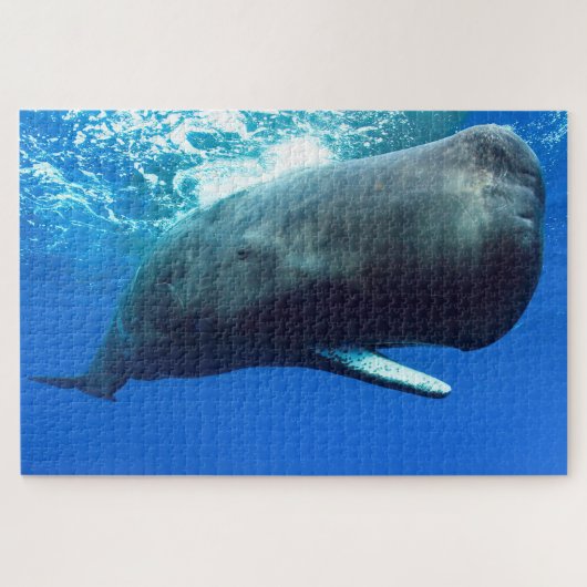 Sperm Whale Jigsaw Puzzle (Horizontal)