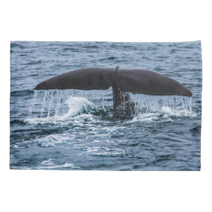 Sperm Whale Kissenbezug