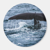 Sperm Whale Magnet (Vorne)