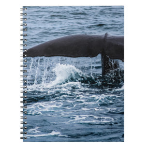 Sperm Whale Notizblock