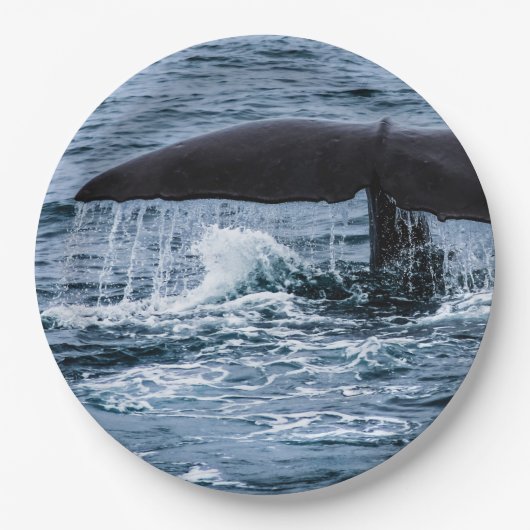 Sperm Whale Pappteller (Vorderseite)