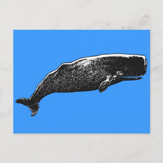 Sperm Whale Postkarte (Vorderseite)