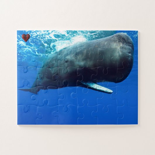 Sperm Whale Puzzle (Horizontal)
