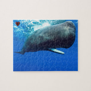 Sperm Whale Puzzle