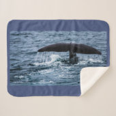 Sperm Whale Sherpadecke (Vorderseite (Horizontal))