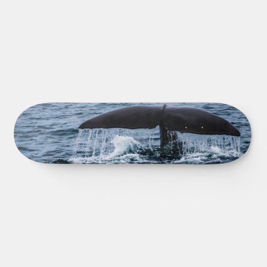 Sperm Whale Skateboard (Horizontal)