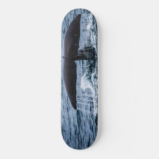 Sperm Whale Skateboard (Vorderseite)