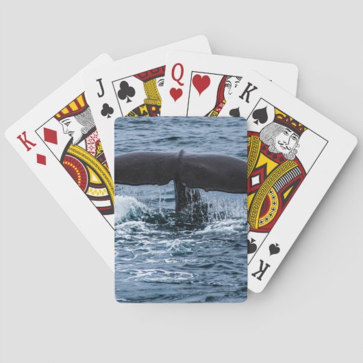 Sperm Whale Spielkarten (Rückseite)