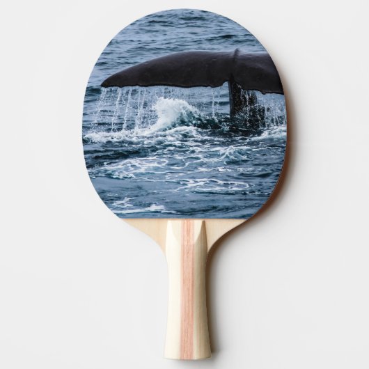 Sperm Whale Tischtennis Schläger (Rückseite)