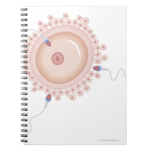 Sperma, das Mutationen von Gen enthält Notizblock (Vorderseite)
