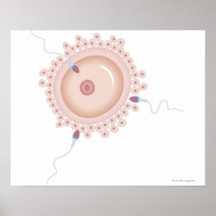 Sperma, das Mutationen von Gen enthält Poster