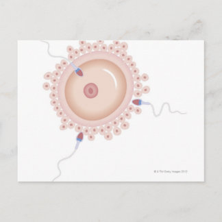 Sperma, das Mutationen von Gen enthält Postkarte