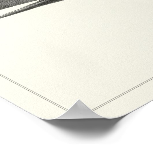 Spermawal + Poster (Ecke)