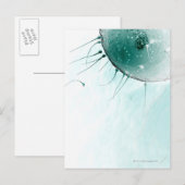Spermien Düngen eines Ovums. Postkarte (Vorne/Hinten)