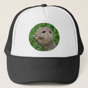Spermophilus citellus truckerkappe