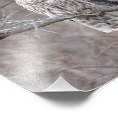 Sperranlage in einem Vogelbaum Fotodruck (Ecke)