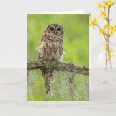 Sperranlage Karte (Gelbe Blume)