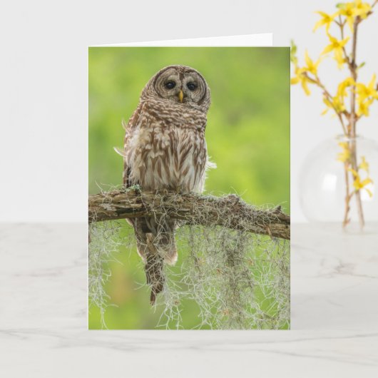 Sperranlage Karte (Gelbe Blume)