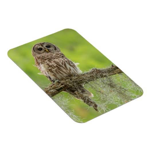 Sperranlage Magnet (Rechte Seite)