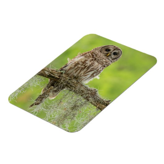 Sperranlage Magnet (Linke Seite)