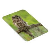 Sperranlage Magnet (Rechte Seite)