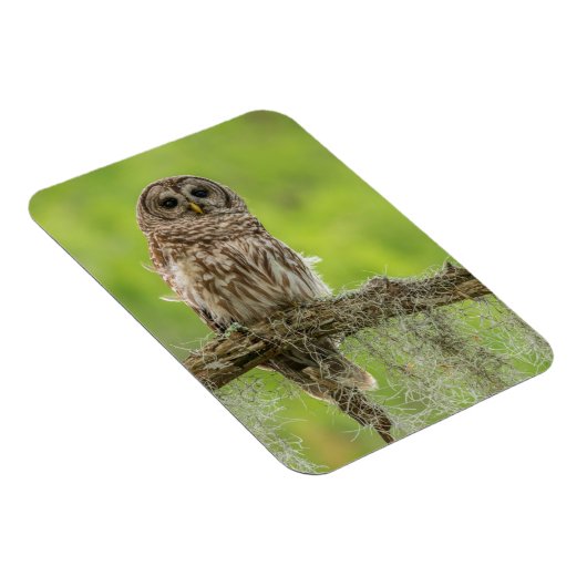 Sperranlage Magnet (Rechte Seite)