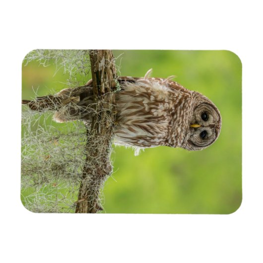 Sperranlage Magnet (Horizontal)