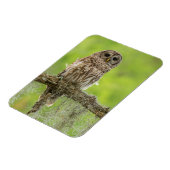 Sperranlage Magnet (Linke Seite)