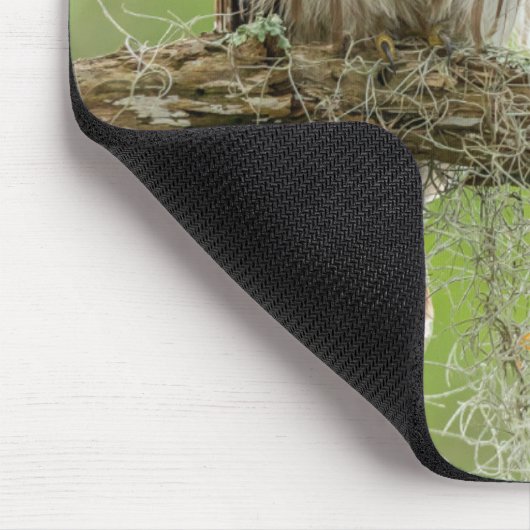 Sperranlage Mousepad (Ecke)