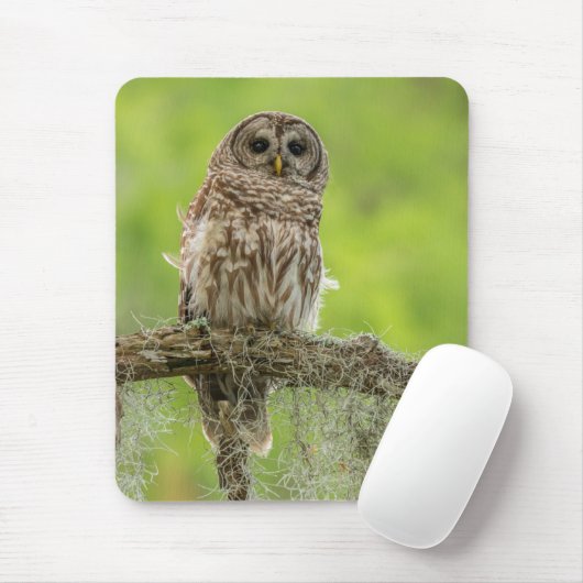 Sperranlage Mousepad (Mit Mouse)