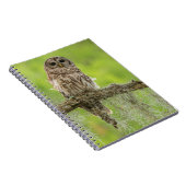 Sperranlage Notizblock (Rechte Seite)