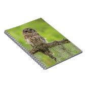 Sperranlage Notizblock (Rechte Seite)