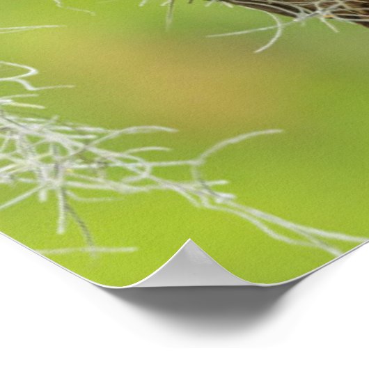 Sperranlage Poster (Ecke)