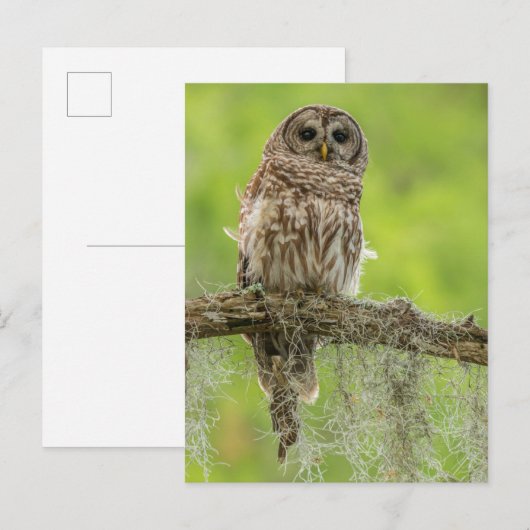 Sperranlage Postkarte (Vorne/Hinten)