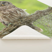 Sperranlage Sherpadecke (3/4)