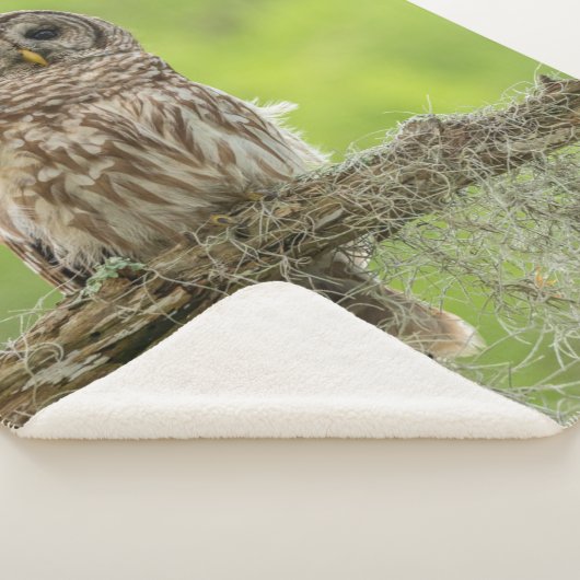 Sperranlage Sherpadecke (3/4)