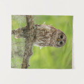 Sperranlage Wandteppich (Vorderseite (Horizontal))