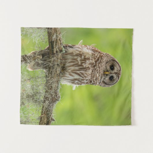 Sperranlage Wandteppich (Vorderseite (Horizontal))