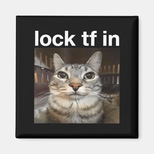 Sperre TF in Cat Meme Magnet (Vorne)